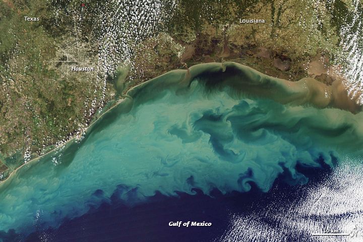 Gulf of Mexico