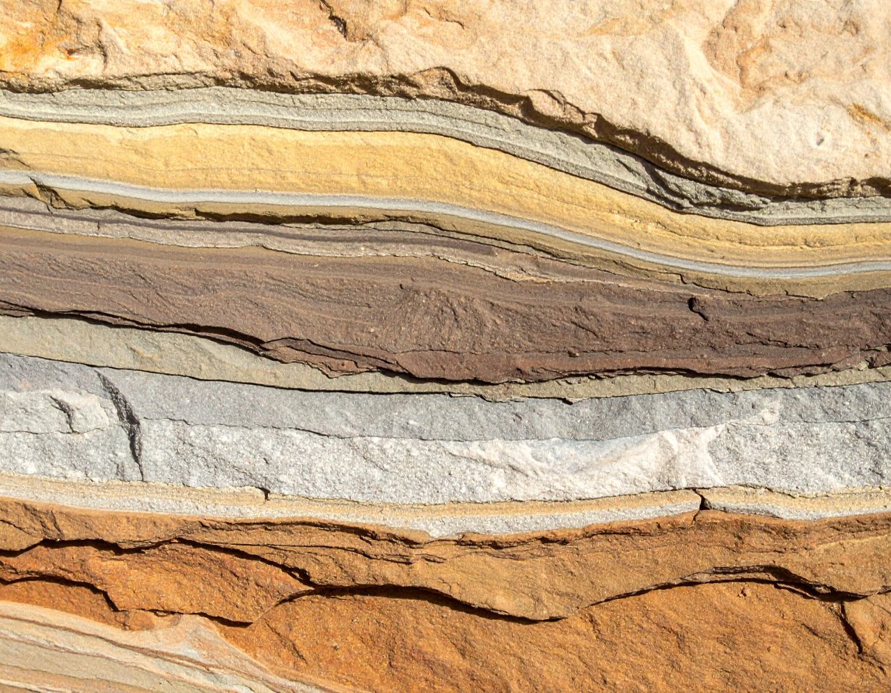 sedimentary rocks training